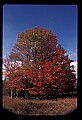 02113-00149-Canaan Valley State Park.jpg