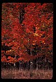 02113-00152-Canaan Valley State Park.jpg