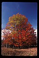 02113-00153-Canaan Valley State Park.jpg