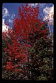 02113-00159-Canaan Valley State Park.jpg