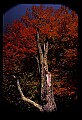 02113-00163-Canaan Valley State Park.jpg