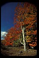 02113-00184-Canaan Valley State Park.jpg