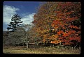 02113-00185-Canaan Valley State Park.jpg