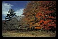 02113-00187-Canaan Valley State Park.jpg
