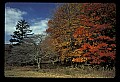 02113-00188-Canaan Valley State Park.jpg