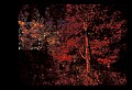 02113-00192-Canaan Valley State Park.jpg