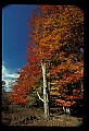 02113-00193-Canaan Valley State Park.jpg