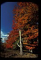 02113-00195-Canaan Valley State Park.jpg