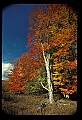 02113-00196-Canaan Valley State Park.jpg