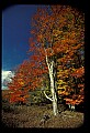 02113-00197-Canaan Valley State Park.jpg