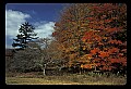02113-00199-Canaan Valley State Park.jpg