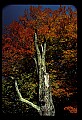 02113-00200-Canaan Valley State Park.jpg