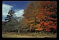 02113-00201-Canaan Valley State Park.jpg