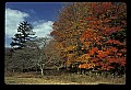 02113-00201-Canaan Valley State Park.jpg