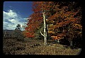 02113-00202-Canaan Valley State Park.jpg