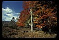 02113-00207-Canaan Valley State Park.jpg