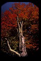 02113-00212-Canaan Valley State Park.jpg