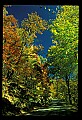 00000-00004-Kanawha State Forest.jpg