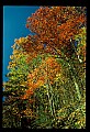 02115-00002-Kanawha State Forest.jpg