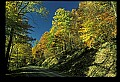 02115-00005-Kanawha State Forest.jpg
