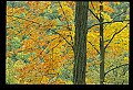 02115-00007-Kanawha State Forest.jpg