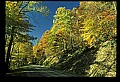 02115-00012-Kanawha State Forest.jpg