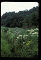 02120-00014-West Virginia Scenes.jpg