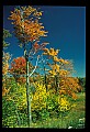 02120-00017-West Virginia Scenes.jpg