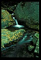 02120-00025-West Virginia Scenes.jpg