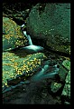 02120-00025-West Virginia Scenes.jpg