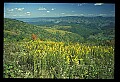 02120-00049-West Virginia Scenes.jpg