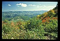 02120-00050-West Virginia Scenes.jpg