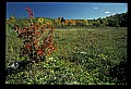 02120-00052-West Virginia Scenes.jpg