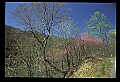 02120-00071-West Virginia Scenes.jpg