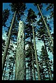 02120-00105-West Virginia Scenes.jpg