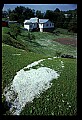 02120-00113-West Virginia Scenes.jpg