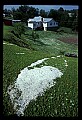 02120-00118-West Virginia Scenes.jpg