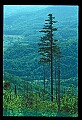 02120-00132-West Virginia Scenes.jpg