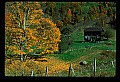 02120-00158-West Virginia Scenes.jpg