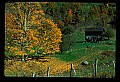 02120-00159-West Virginia Scenes.jpg