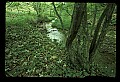 02120-00163-West Virginia Scenes.jpg