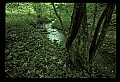 02120-00164-West Virginia Scenes.jpg