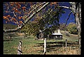 02120-00194-West Virginia Scenes.jpg