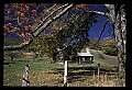 02120-00199-West Virginia Scenes.jpg