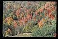 02120-00211-West Virginia Scenes.jpg