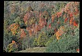 02120-00212-West Virginia Scenes.jpg