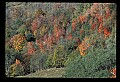 02120-00213-West Virginia Scenes.jpg