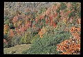 02120-00214-West Virginia Scenes.jpg