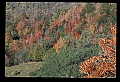 02120-00215-West Virginia Scenes.jpg