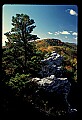 02120-00260-West Virginia Scenes.jpg